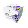 Crema Gel idratante Riequilibrante Alma Briosa
