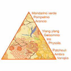 Gel doccia Physalis e ambra Bio Happy