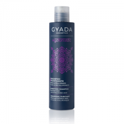 Hyalurvedic Shampoo Purificante Gyada