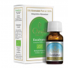 Olio essenziale Eucaliptus Bio Fiore d'Oriente