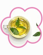 Infusi - Tisane