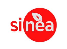 Sinea