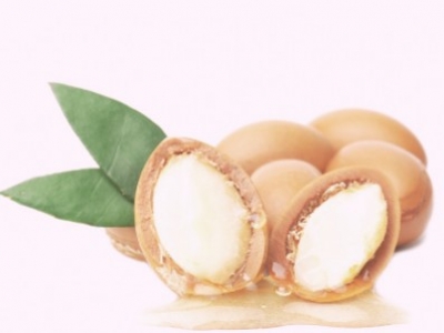 Olio di Argan